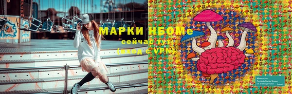 шишки Няндома