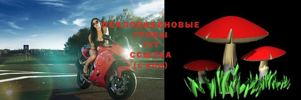 jwh Абаза