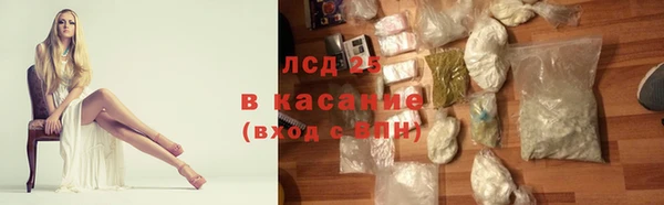 шишки Няндома