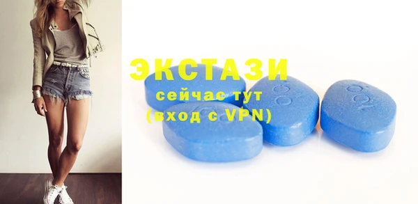 шишки Няндома