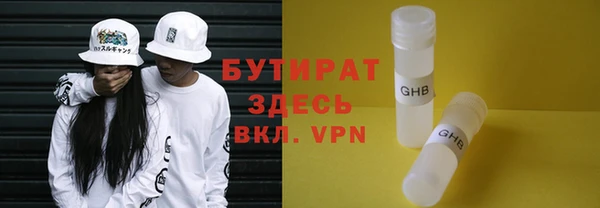 шишки Няндома