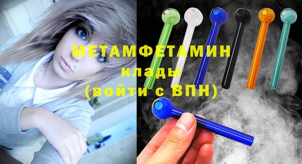 шишки Няндома