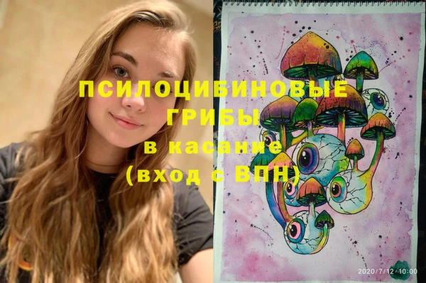 шишки Няндома